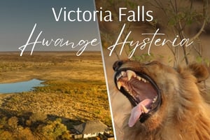Victoria Falls Hwange Hysteria