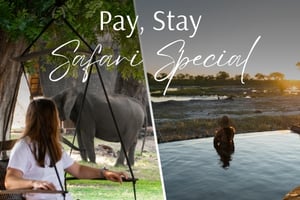 Pay Stay Safari Special