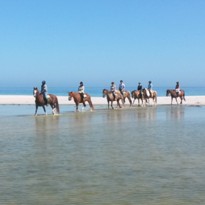 Horseback riding