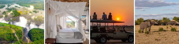 Beyond best of hwange