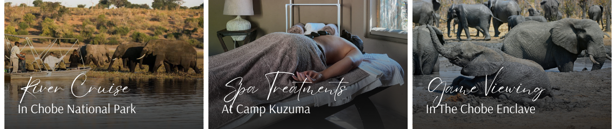 Chobe Enclave Highlights