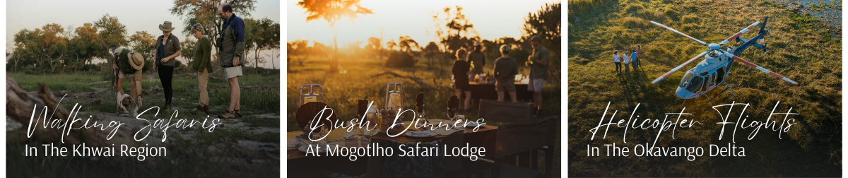 Khwai River Highlights