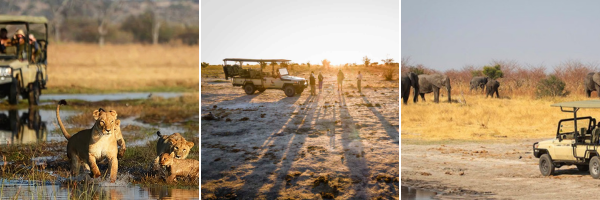 Game Drives